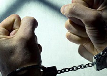 دستگیری ۷ عضو اصلی یک شرکت هرمی در استان فارس/ کشف خروج غیر قانونی ١٦ میلیون دلار از کشور