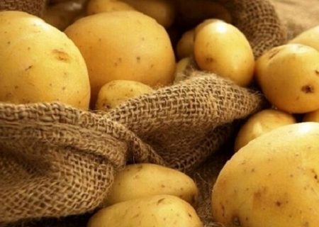 عرضه سیب‌زمینی بحرانی است/ احتمال واردات از پاکستان