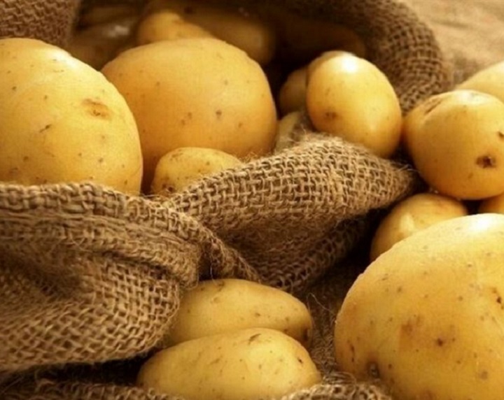عرضه سیب‌زمینی بحرانی است/ احتمال واردات از پاکستان
