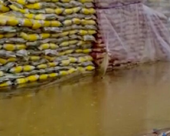 ابعادی تازه از برنج‌های باران‌زده/خسارت پای کیست؟