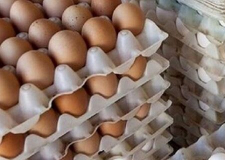 قیمت هر شانه تخم مرغ به ۱۰۰ هزار تومان رسید