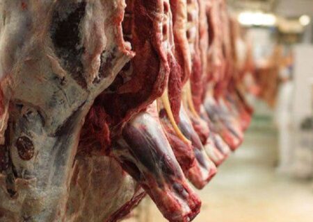 تولید بیش از ۶۰۰ هزار تن گوشت قرمز در کشتارگاه‌های کشور