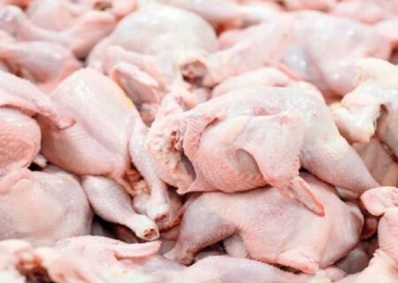 عرضه گوشت مرغ کاهش یافت