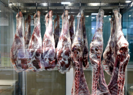 وضعیت بازار گوشت قرمز داخلی و دام زنده