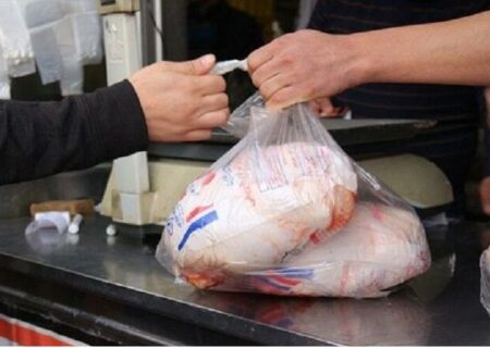 کاهش روند قیمت گوشت مرغ/ تداوم برخورد با گران فروشان جوجه یکروزه