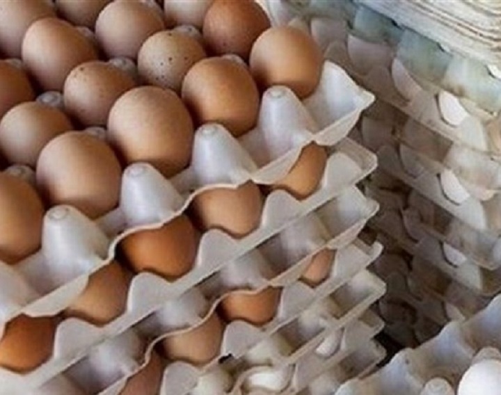 تخم‌مرغ ۱۵ تا ۲۰ درصد ارزانتر از نرخ مصوب/ برنامه‌ریزی برای افزایش تولید